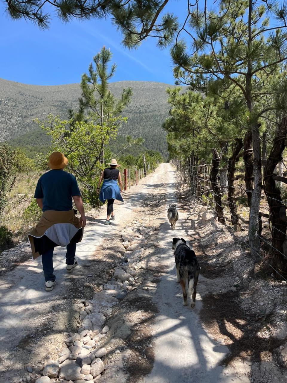 Camping En La Sierra De Arteaga Los Lirios Esterno foto