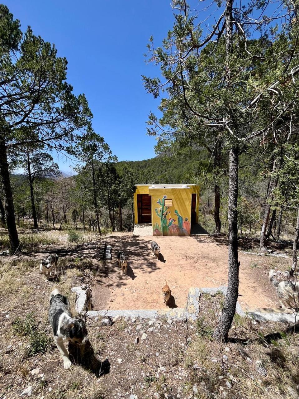 Camping En La Sierra De Arteaga Los Lirios Esterno foto