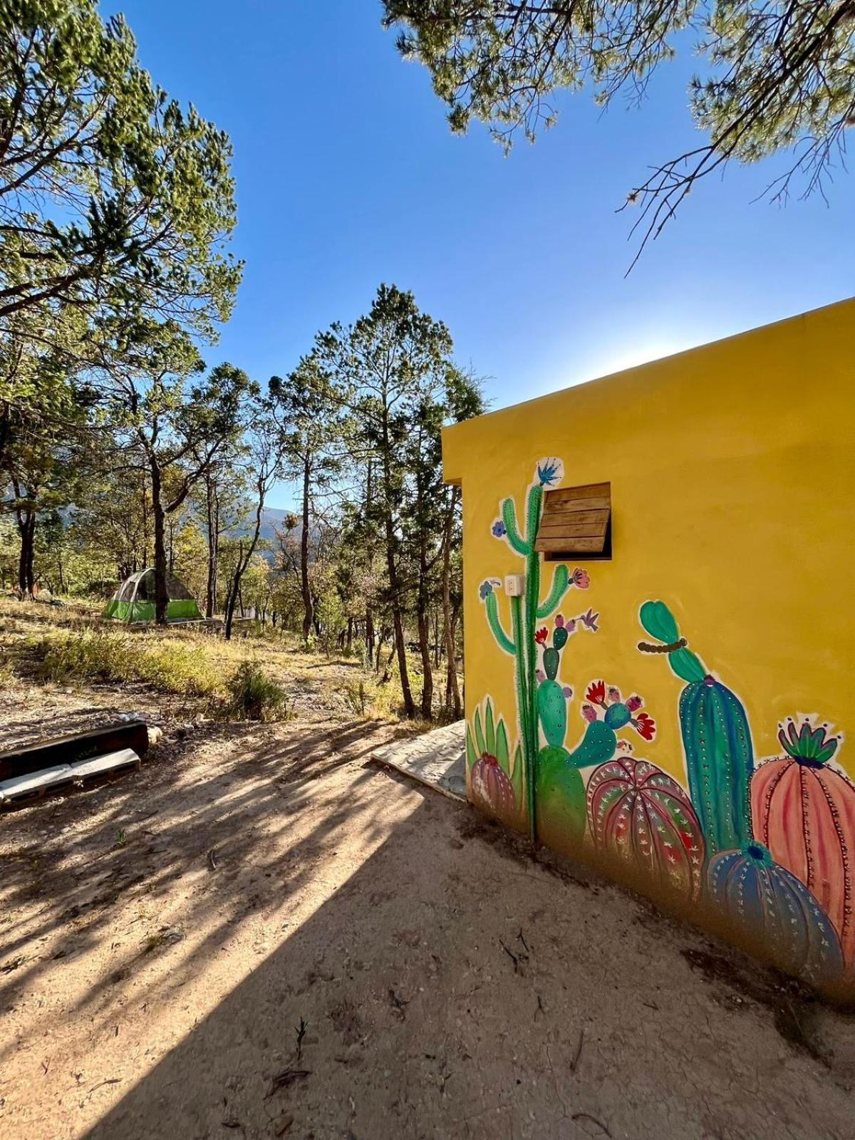 Camping En La Sierra De Arteaga Los Lirios Esterno foto