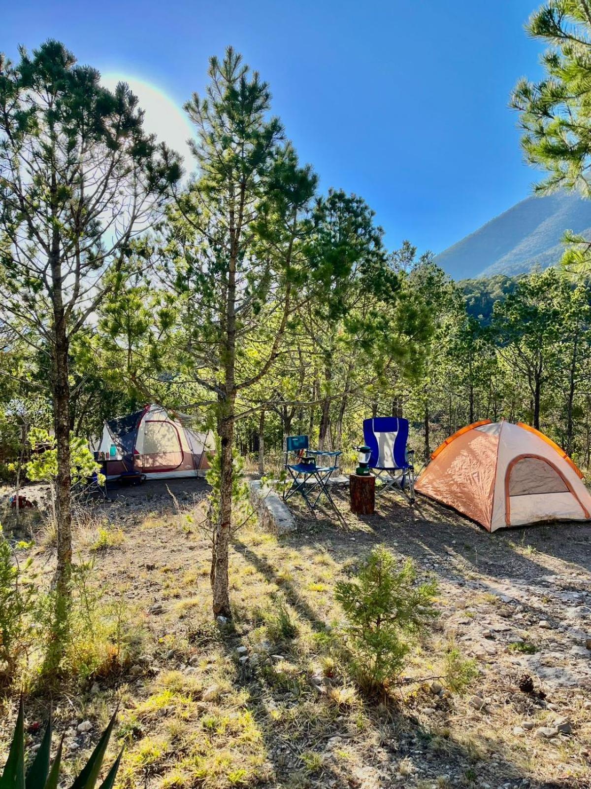 Camping En La Sierra De Arteaga Los Lirios Esterno foto